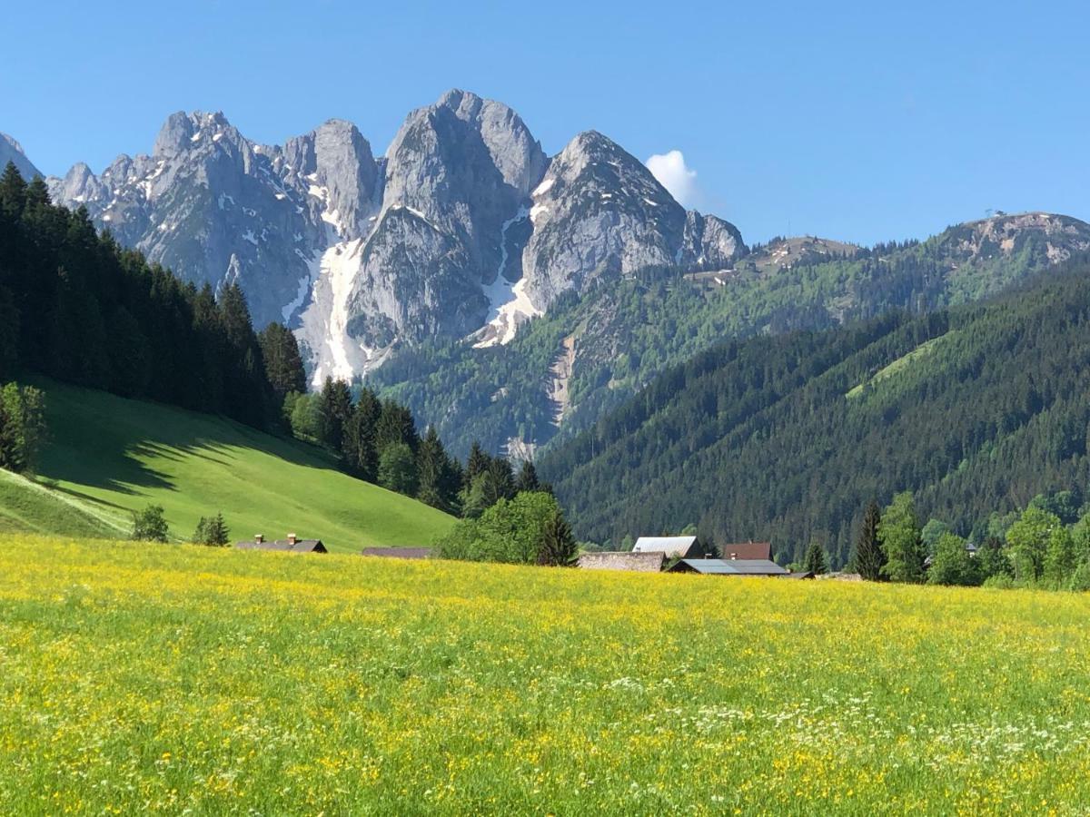 Ferienwohnung Kogelblick Gosau Dış mekan fotoğraf